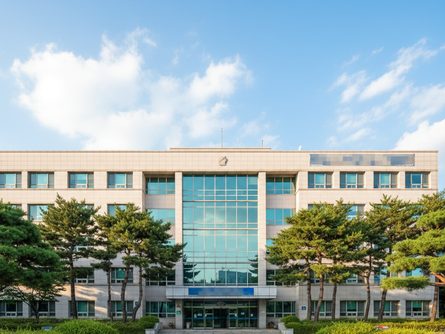 부산 서구청 본관 건물 정면, 맑은 하늘 배경과 주변 나무들