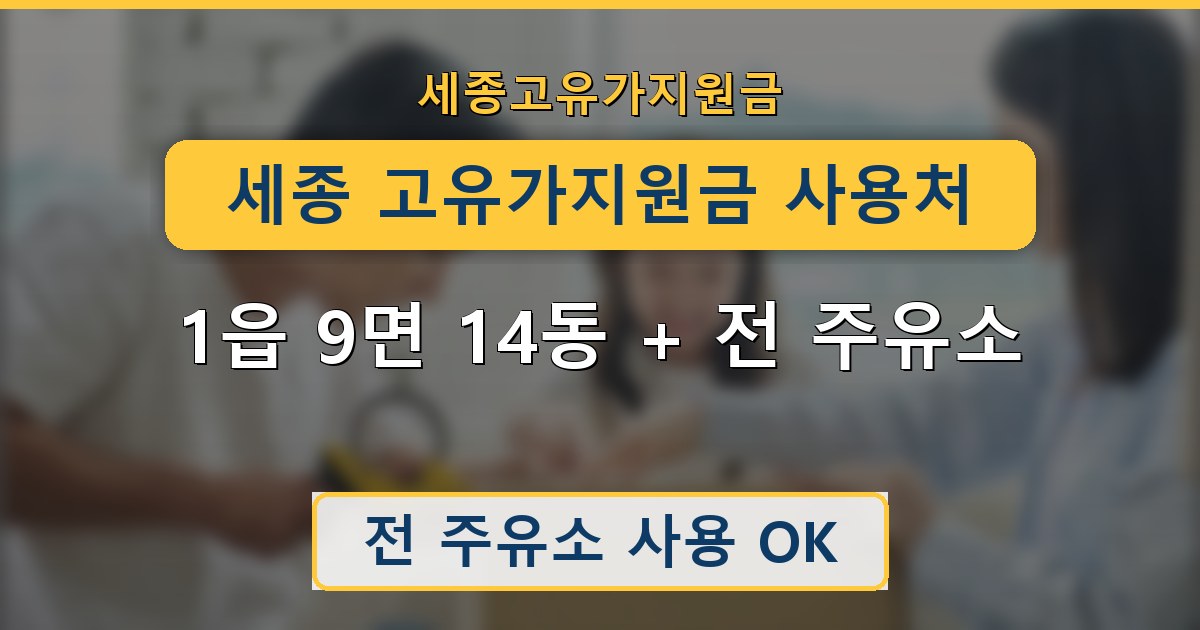 세종 고유가지원금 사용처 - 1읍 9면 14동 + 전 주유소 안내
